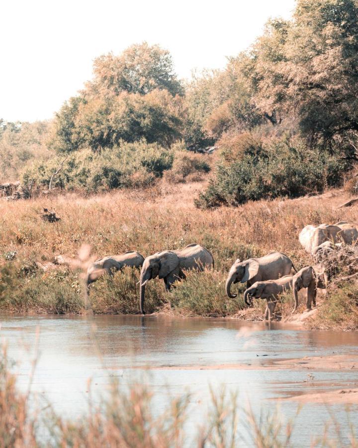 Maninghi Lodge Balule Game Reserve Exterior foto