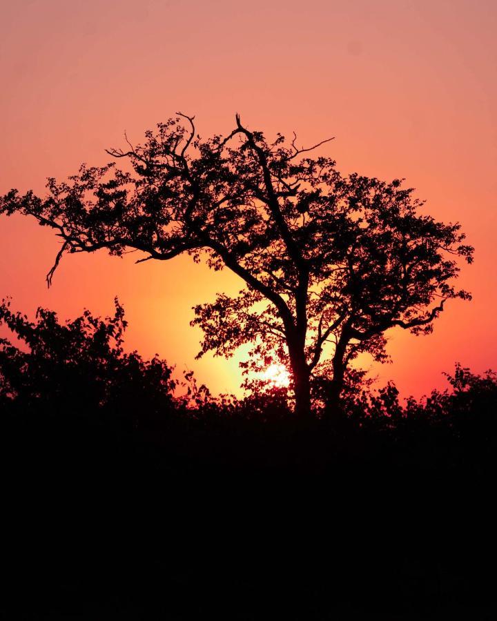 Maninghi Lodge Balule Game Reserve Exterior foto