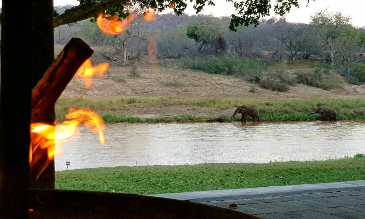 Maninghi Lodge Balule Game Reserve Exterior foto